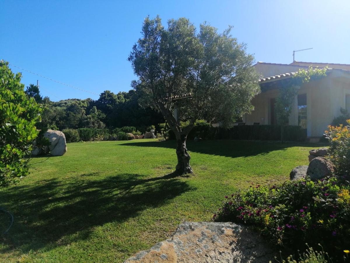 Agriturismo Fioredda Aglientu Exteriér fotografie