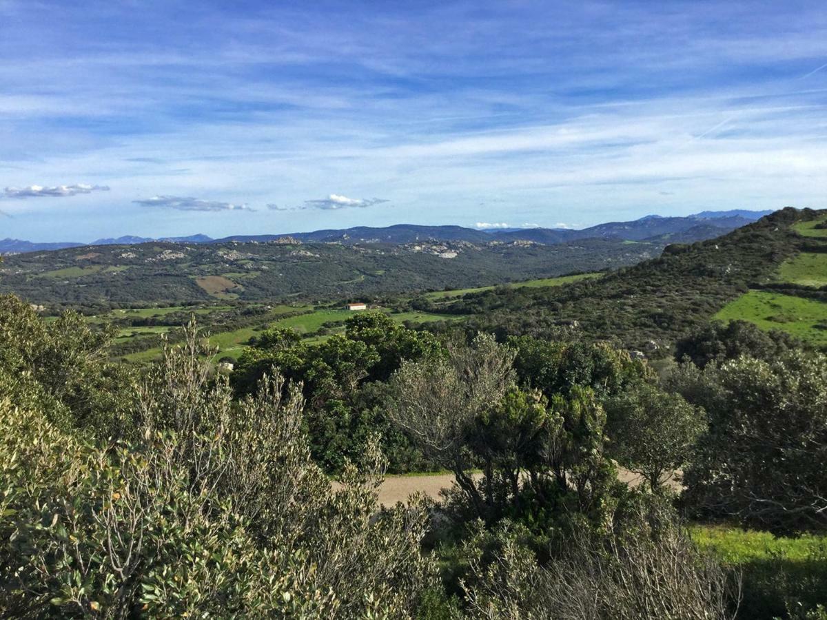Agriturismo Fioredda Aglientu Exteriér fotografie